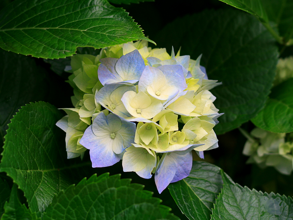 201209041536476950.png